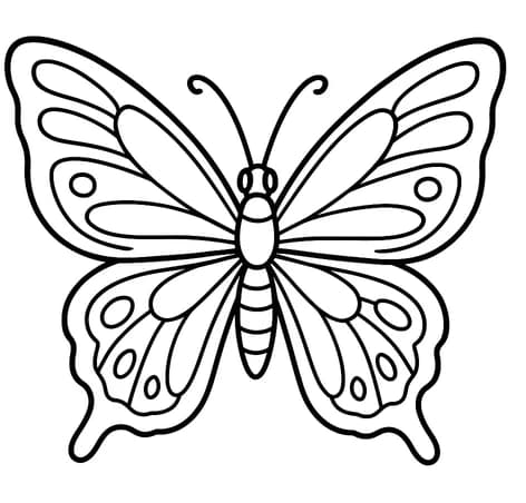Butterfly coloring page design